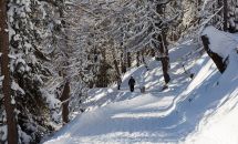 Winterwanderweg-Ferienregion-Lungau.jpg