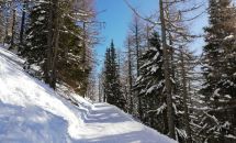 Winterwanderweg_4.jpg