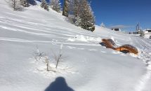 Winterwandern-Grosseck.JPG